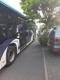 Bus_B&uuml;rgersteig_1