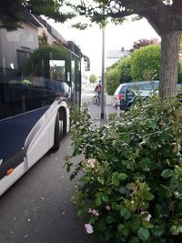 Bus_B&uuml;rgersteig_2